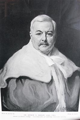 ;